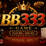 B333 Game