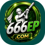 66