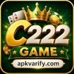 C222 Game